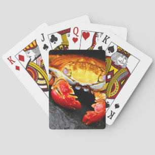Jeu De Cartes Crabe de Galapagos