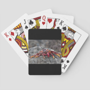 Jeu De Cartes Crabe rouge