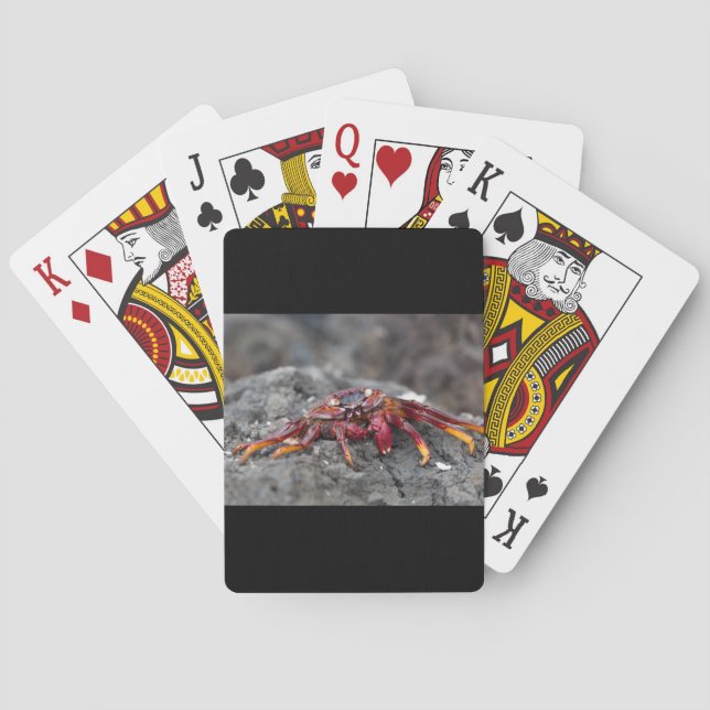 Jeu De Cartes Crabe rouge (dos)