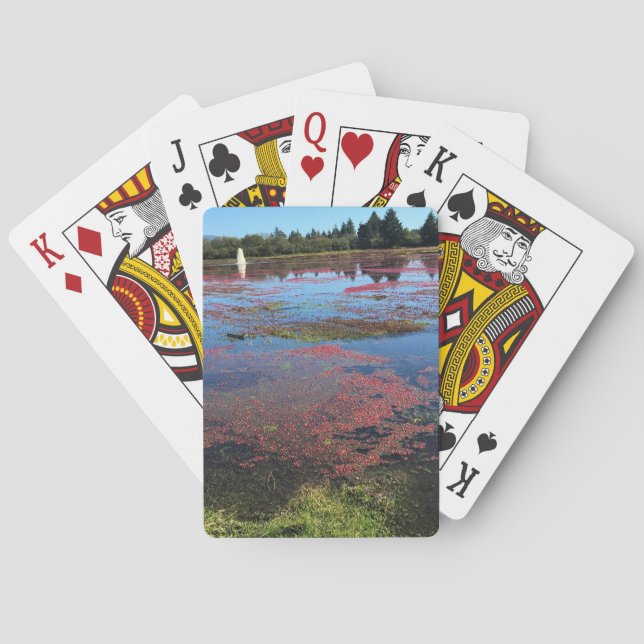 Jeu De Cartes Cranberry Farm, Long Beach, Washington (dos)