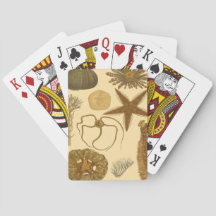 Jeu De Cartes Créatures sous-marines