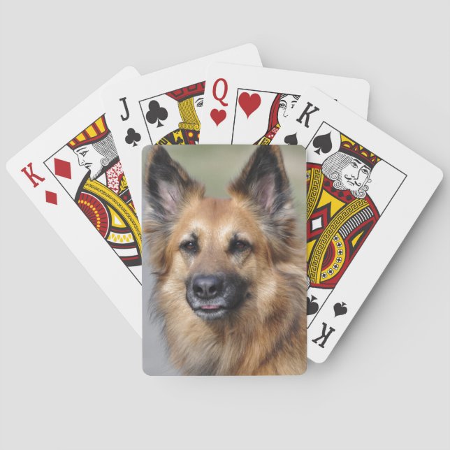 Jeu De Cartes Créez votre propre photo d'animal de compagnie (dos)