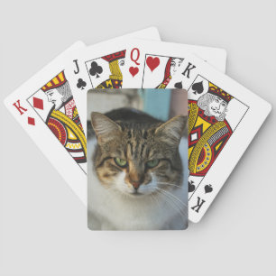 Jeu De Cartes Créez Votre Propre Photo de Animal de Compagnie Ca