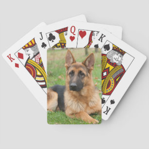 Jeu De Cartes Créez Votre Propre Photo de Animal de Compagnie Pe