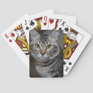 Jeu De Cartes Créez Votre Propre Photo de Chat Personnalisée