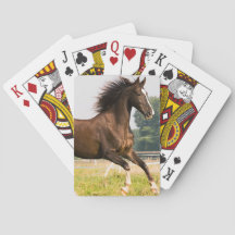Créez votre propre photo de cheval de compagnie pe