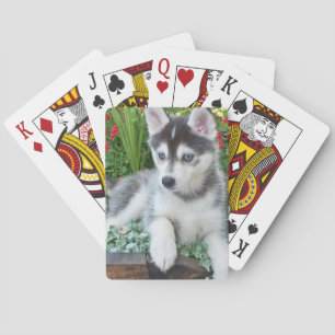 Jeu De Cartes Créez Votre Propre Photo de Compagnon à Quatre Pat