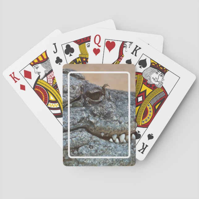 Jeu De Cartes Crocodile (dos)
