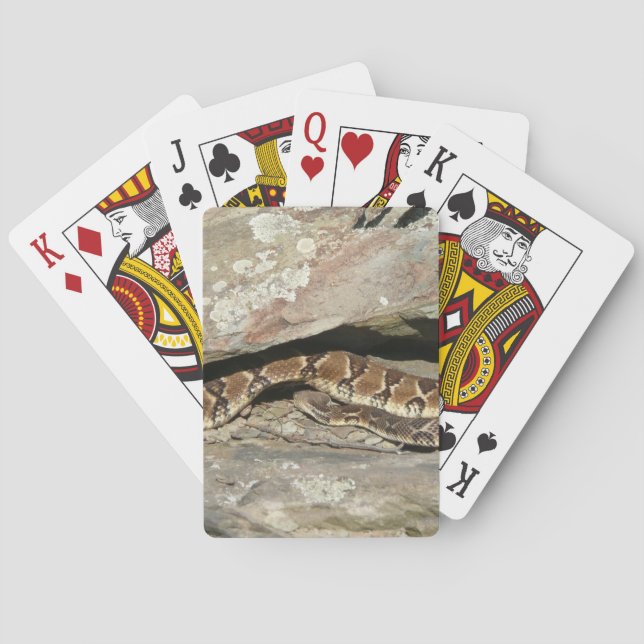 Jeu De Cartes Crotale à Shenandoah National Park (dos)