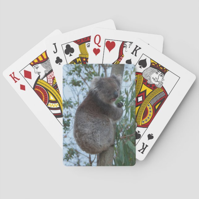 Jeu De Cartes Cudely Koala Tree Animal Wildlife Australie (dos)