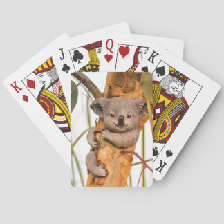 Jeu De Cartes Cuisine et belle Koala