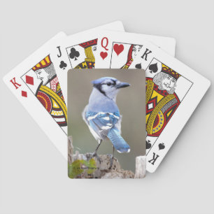 Jeu De Cartes Cute Bleu Jay Songbird sur Treestump