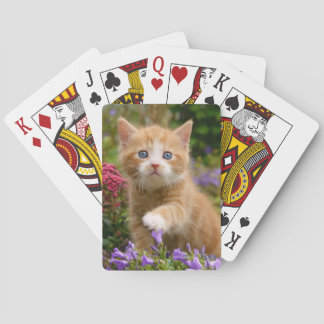 Jeu De Cartes Cute chaton gingembre dans un jardin