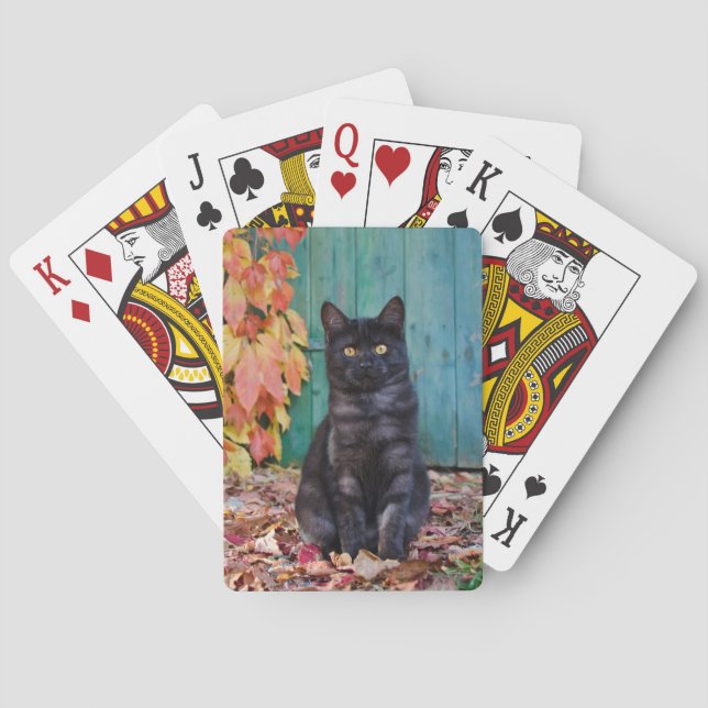 Jeu De Cartes Cute chaton noir avec porte bleue Feuille rouge — (dos)