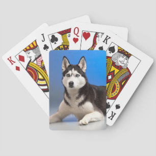 Jeu De Cartes Cute Chien chiot sibérien Husky