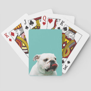Jeu De Cartes Cute dog white Bulldog