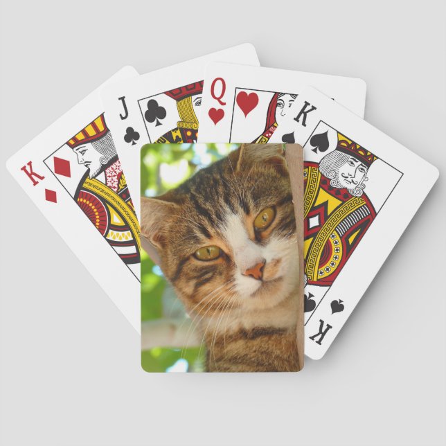 Jeu De Cartes Cute Escalade de chat un arbre (dos)