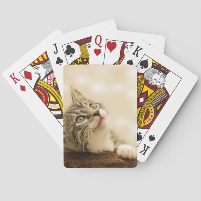Jeu De Cartes Cute Kitten avec une paille étirée (dos)