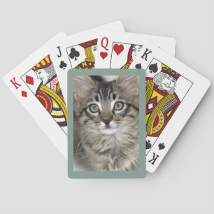 Jeu De Cartes Cute Kitten Closeup Jouer aux cartes
