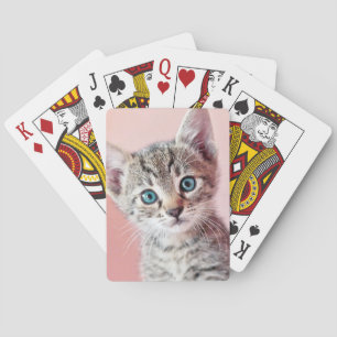 Jeu De Cartes Cute kitten with blue eyes.