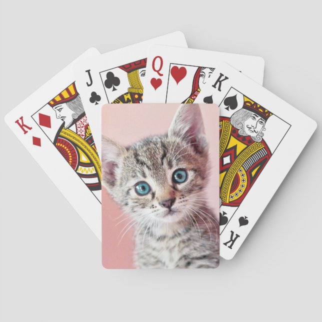 Jeu De Cartes Cute kitten with blue eyes. (dos)