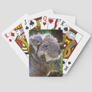 Jeu De Cartes Cute Koalas
