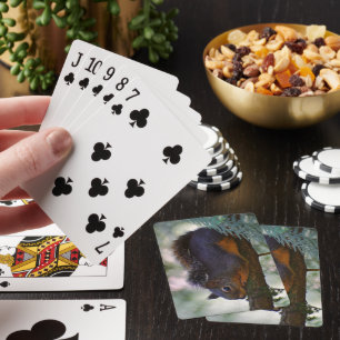 Jeu De Cartes Cute Little Douglas Squirrel Photo Faune