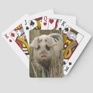 Jeu De Cartes Cute Pig Playing Cards