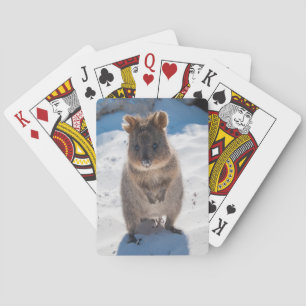 Jeu De Cartes Cute Quokka Animal Beach Faune Australie