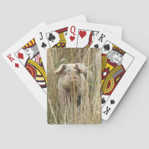 Jeu De Cartes Cute Spotty Pig Playing Cards