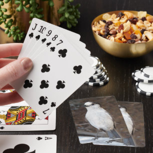 Jeu De Cartes Cute Whiskey Jack Bird