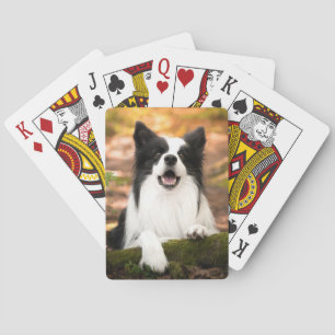 Jeu De Cartes Cutest Baby Animals   Black and White Border Colli