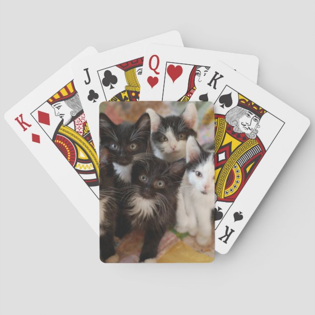 Jeu De Cartes Cutest Baby Animals | Black & White Kittens (dos)
