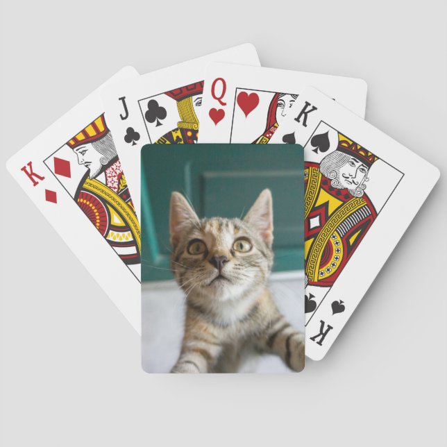 Jeu De Cartes Cutest Baby Animals | Cute Tabby Kitten (dos)