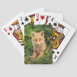 Jeu De Cartes Cutest Baby Animals Red Fox at Umnak Alaska