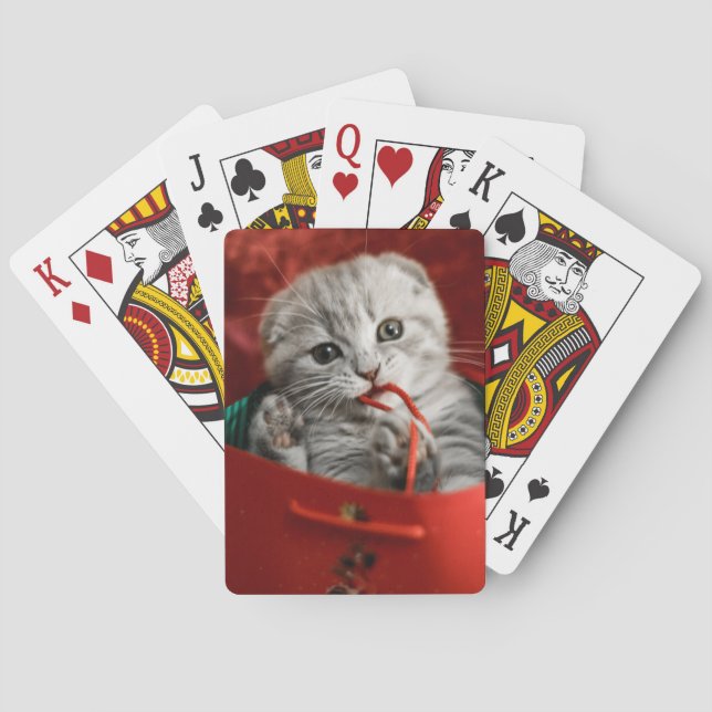 Jeu De Cartes Cutest Baby Animals | Scottish Fold Kitten (dos)