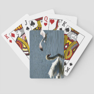 Jeu De Cartes Cygne et oiseaux sur le lac 