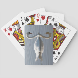 Jeu De Cartes Cygne muet