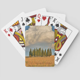 Jeu De Cartes Cyprès de la Toscane rurale