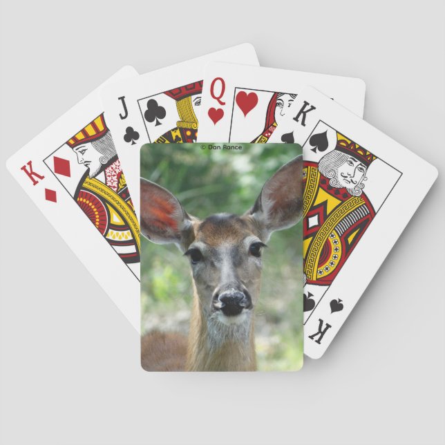 Jeu De Cartes D33 Cerf à queue blanche femelle (dos)