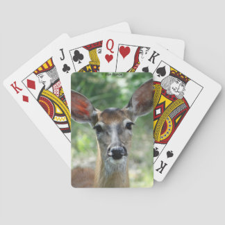 Jeu De Cartes D33 White-tailed Deer Doe