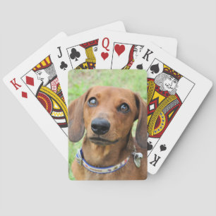Jeu De Cartes Dachshund