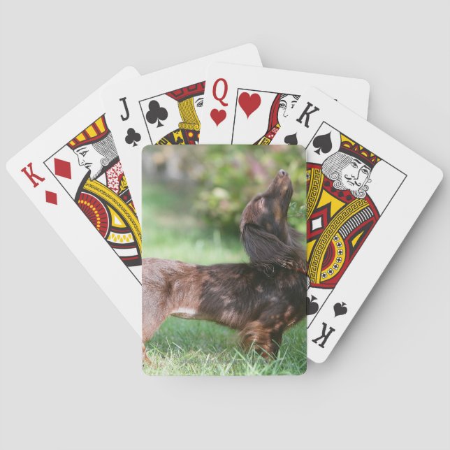 Jeu De Cartes Dachshund miniature à cheveux longs 1 (dos)
