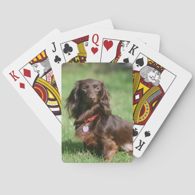 Jeu De Cartes Dachshund miniature au chocolat et au tan aux chev (dos)