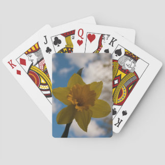 Jeu De Cartes Daffodique au printemps