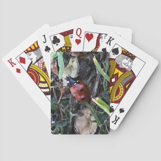 Jeu De Cartes Dame (dos)