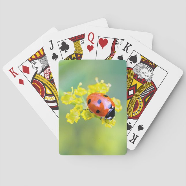 Jeu De Cartes dame sur le dessus (dos)
