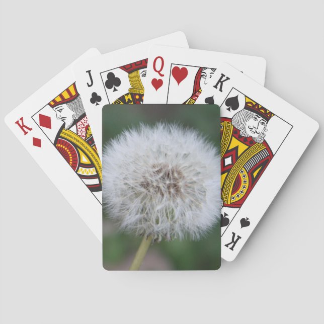 Jeu De Cartes Dandelion Lecture Cartes (dos)