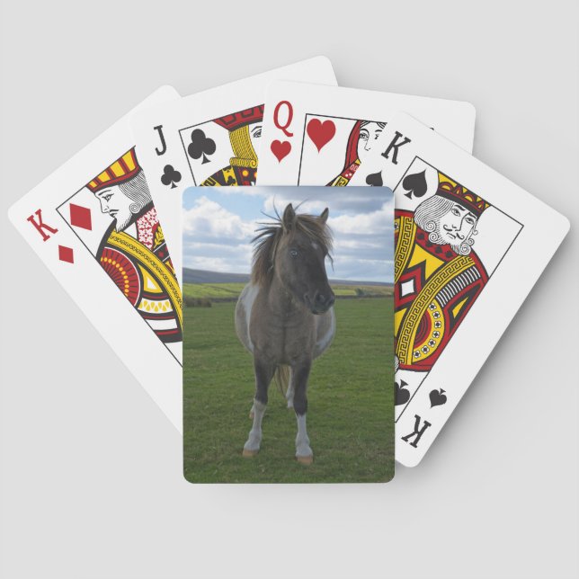Jeu De Cartes Dartmoor bleu (dos)