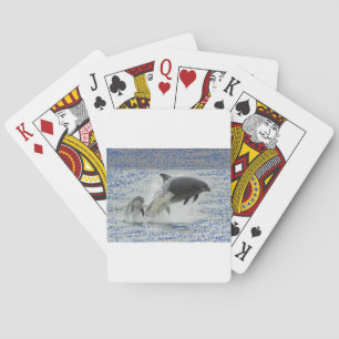 Jeu De Cartes Dauphins